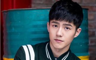 刘昊然舆论爆料视频,真相与误解的交织  第2张