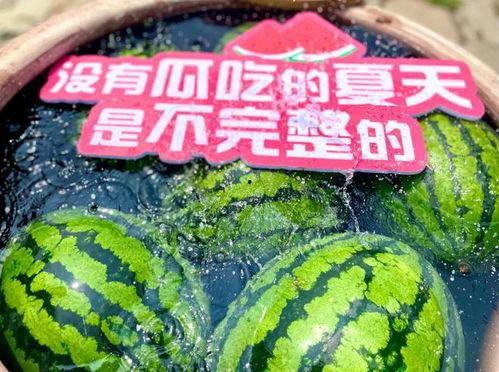 夏天免费吃瓜群众,吃瓜群众的狂欢时刻  第3张